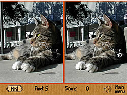 玩游戏画画ipad推荐(iPad Air5和iPad Pro 2021谁更值得入手)